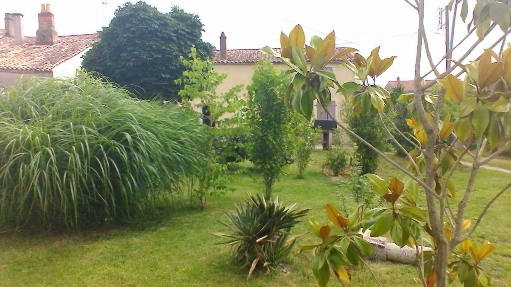Contre Vents Et Marais * Vix (Vendee)