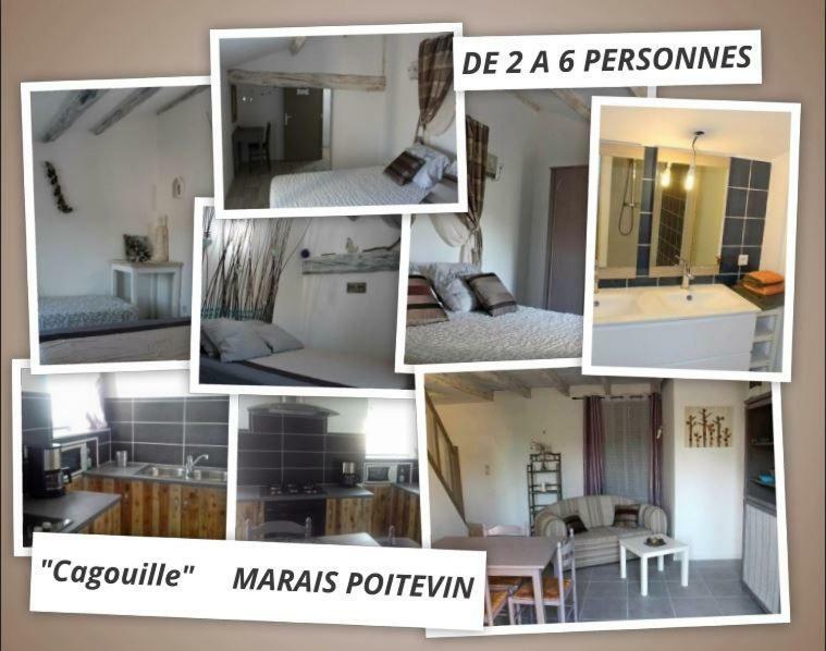 Contre Vents Et Marais